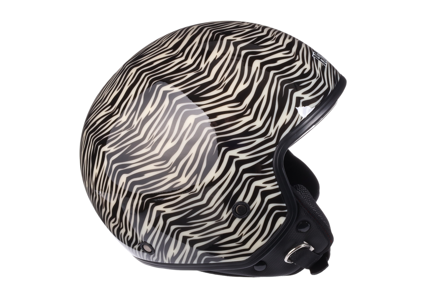 Zebra Helmpie